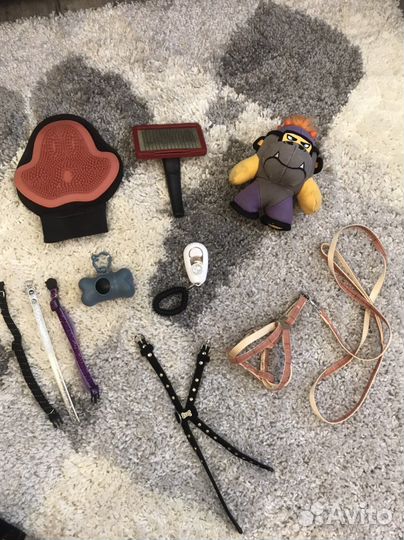 Амуниция для собак