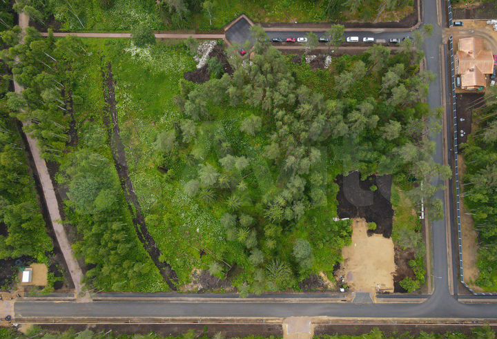 Участок 27 сот. (СНТ, ДНП)