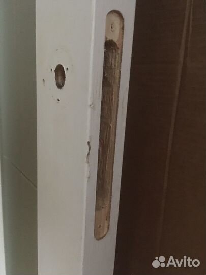 Дверное полотно 2000 800