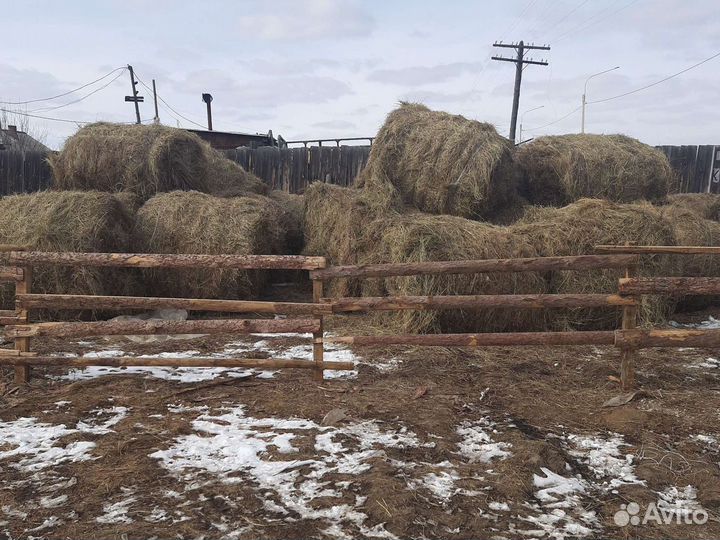 Сено в рулонах