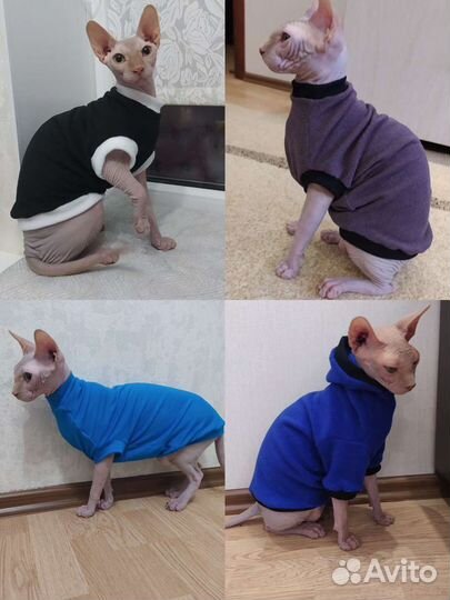 Кофточки для сфинкса (одежда для кошек)