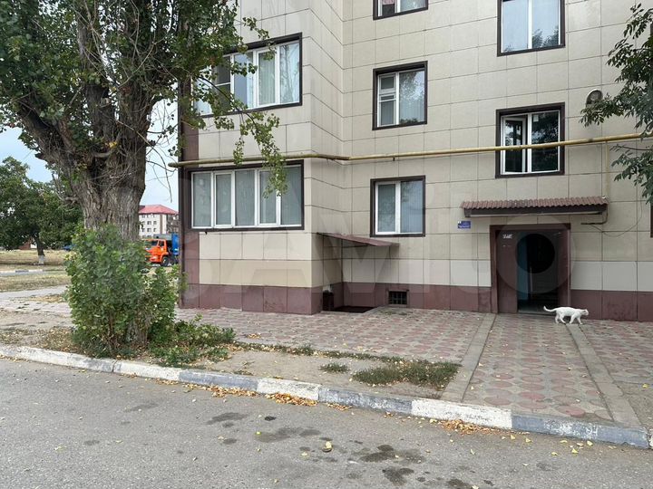 2-к. квартира, 50,6 м², 1/5 эт.