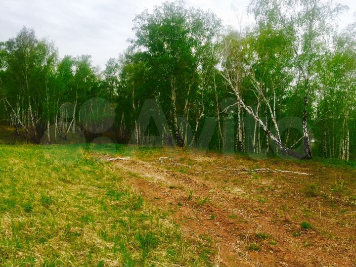 Участок 12,5 сот. (СНТ, ДНП)