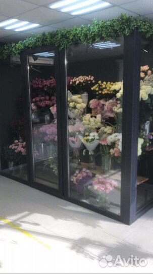 Холодильный агрегат для цветов (профессиональный)