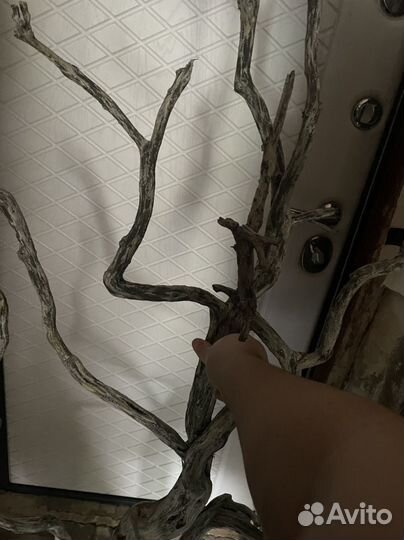 Дрифтвуд коряга для интерьера