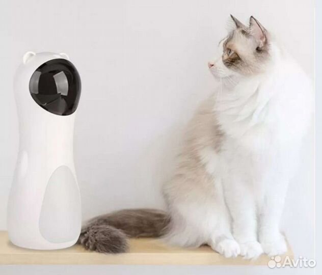 Лазерный указатель для кошки