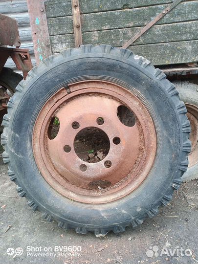 Колесо в сборе б/у на газ 53 продам