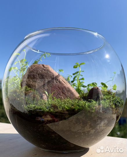 Флорариум-моссариум 