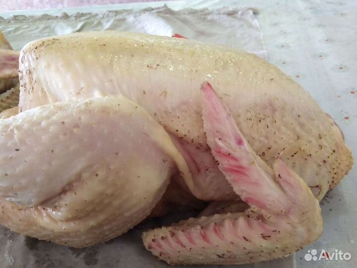 Мясо кур бройлеров