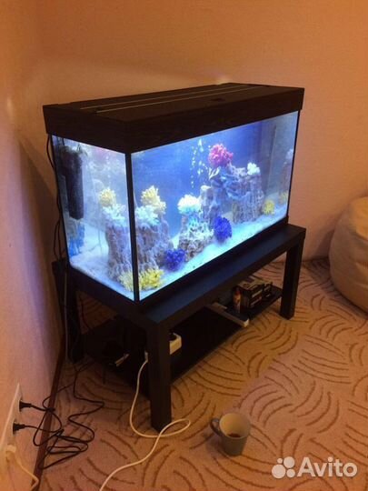 Аквариумы в стиле псевдоморе