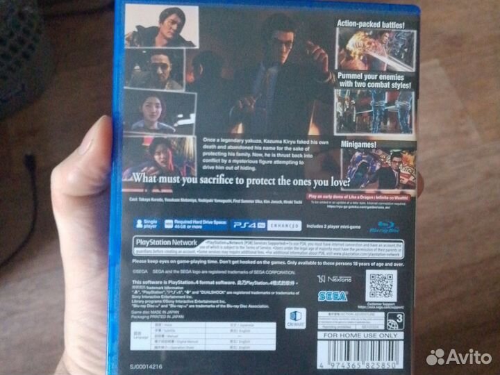 Like a dragon garden ps4