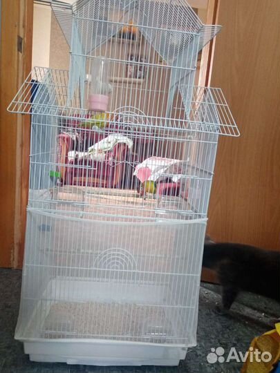 Большая клетка для попугаев