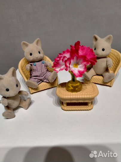 Салливан фэмэли Набор котят