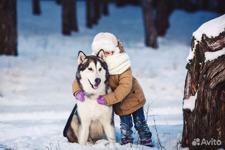 Школьные туры в Карелию