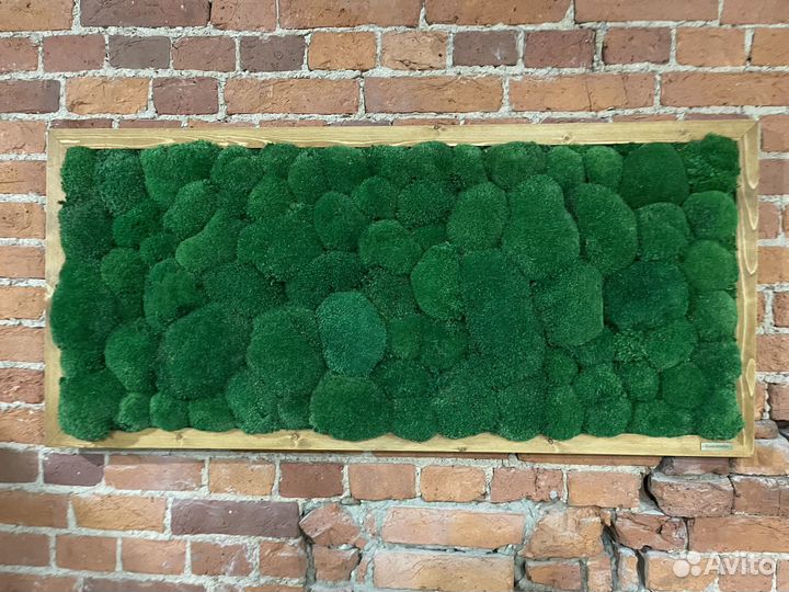 Панно из стабилизированного мха GardenGo