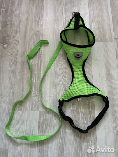 Шлейка для собаки