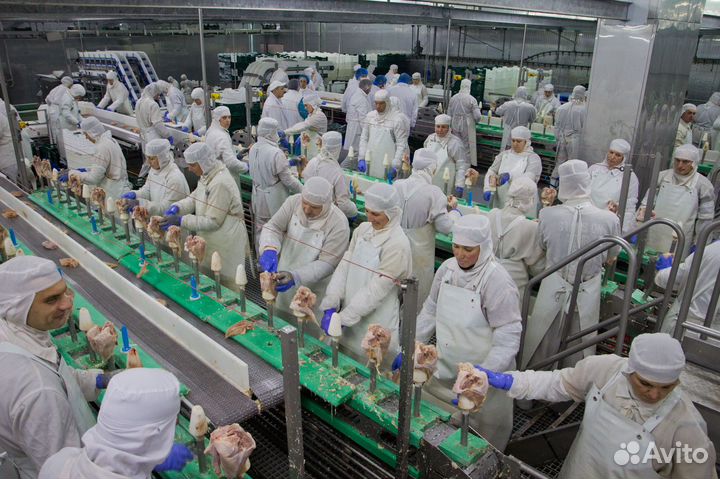 Ищем работников для вахты на птицефабрике Пермь