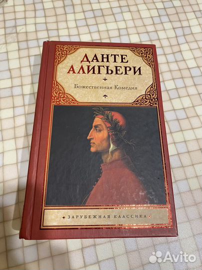 Данте Алигьери-Божественная комедия