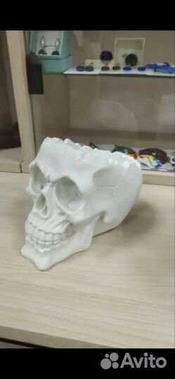 Череп,кашпо, гипс