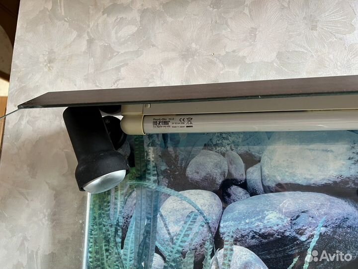 Аквариум для черепах