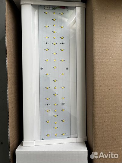 Светильник