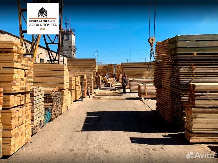 Дверное полотно на клине хвоя банная