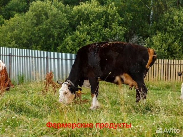 Натуральный питьевой йогурт