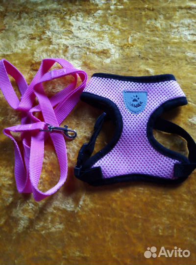 Поводок шлейка для кошек и маленьких собак