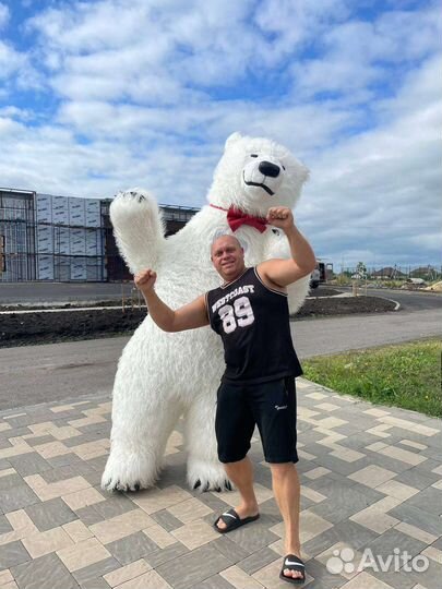 Мишка поздравление. Аниматор. Ростовые куклы