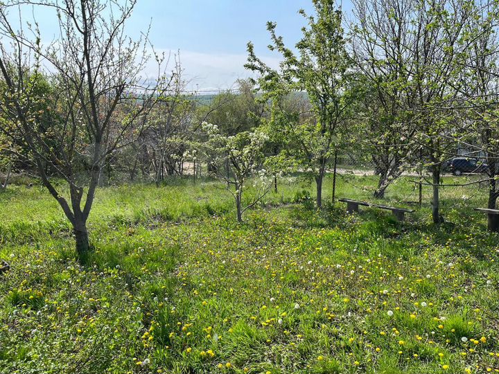 Дом 38 м² на участке 16 сот.