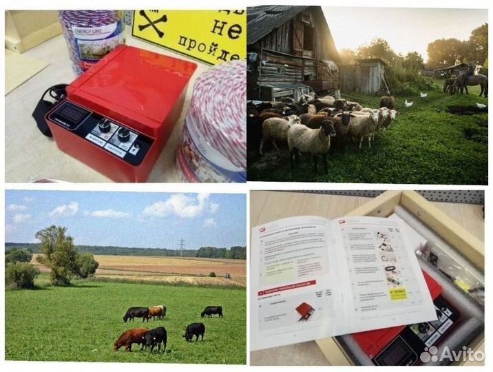 Электропастух