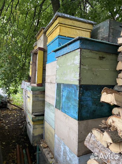 Ульи для пчел бу