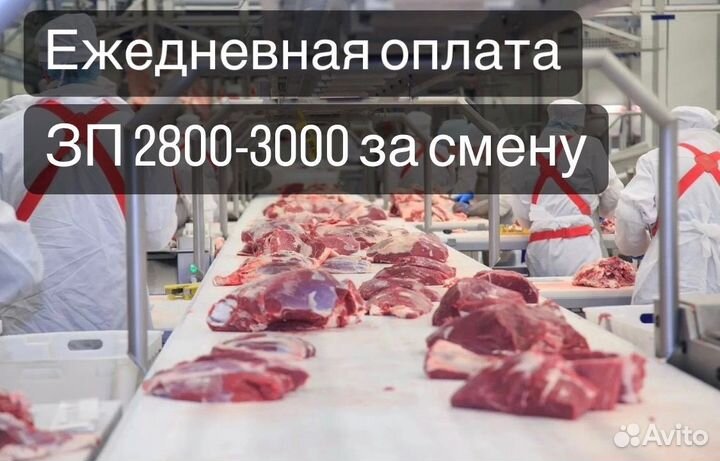 Разнорабочий Грузчик Ежедневная оплата