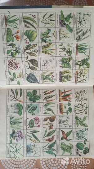 Книга про аквариумных рыб