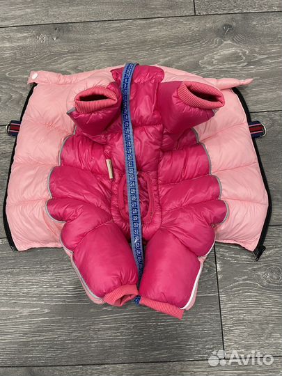 Одежда для маленьких собак