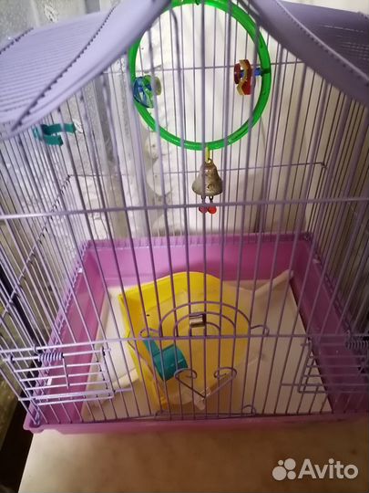 Клетка для птиц бу