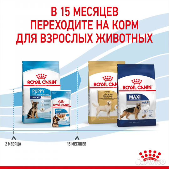 15 кг, Royal Canin Puppy Maxi