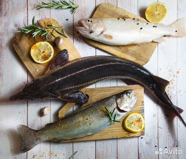 Живая Рыба Аквакультура