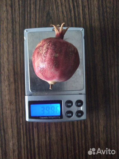 Саженцы комнатного граната