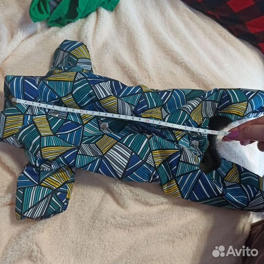 Комбинезон для маленькой собаки