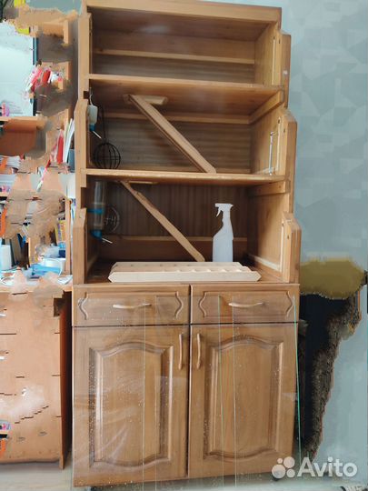 Стеллаж - витрина для грызунов