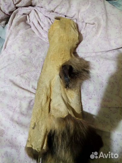 Шкурки : хорёк, ондатра, норка