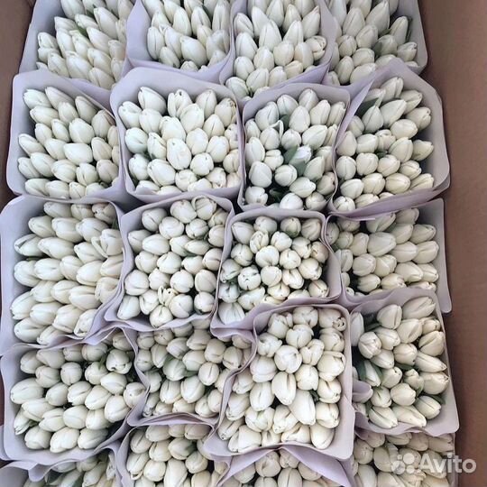 Тюльпаны к 8 марта оптом