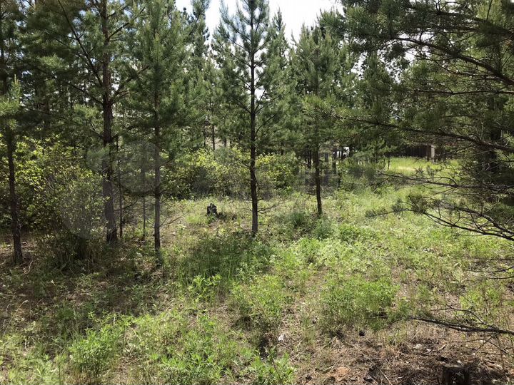 Участок 12 сот. (ИЖС)