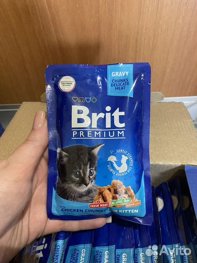 Влажный корм для кошек brit