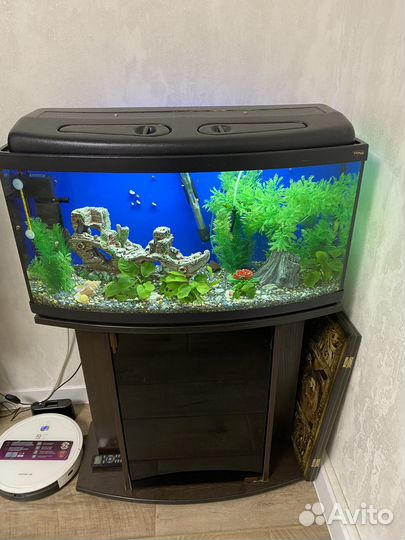 Аквариум с тумбой