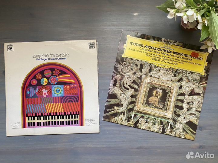 Виниловые пластинки