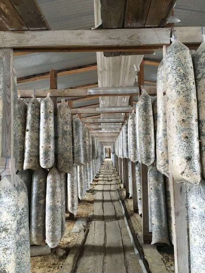 Участок 36 сот. (СНТ, ДНП)