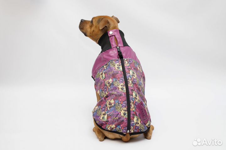 Жилет для собак