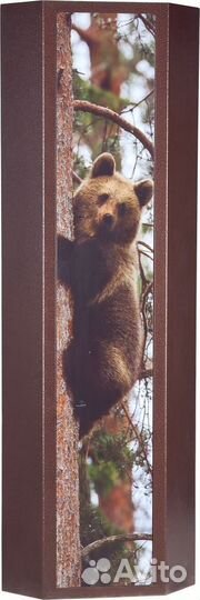 Сейф для ружья, охотничий ош-2уф с фотопечатью нов